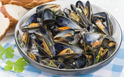 Peut-on manger des fruits de mer pendant la grossesse ?