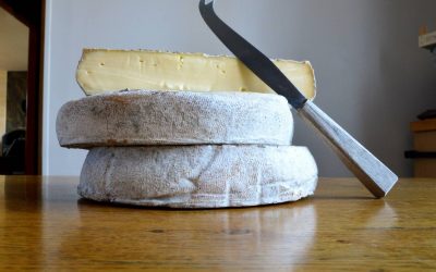 Manger du Saint Nectaire en étant enceinte : oui ou non ?